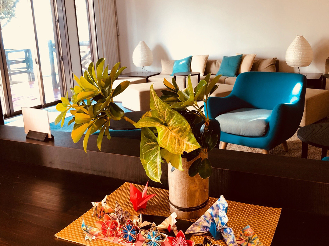 海龟出没 蓝色海洋屋久岛主图