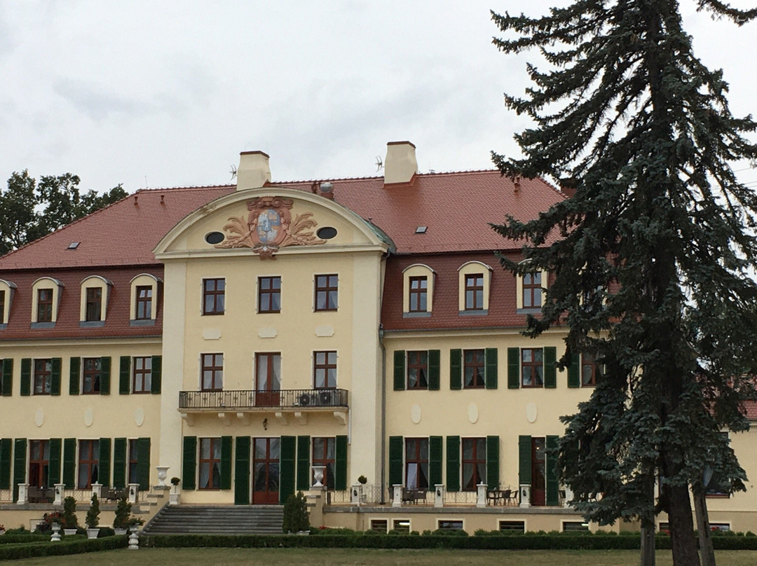 Pałac Radomiłow景点图片