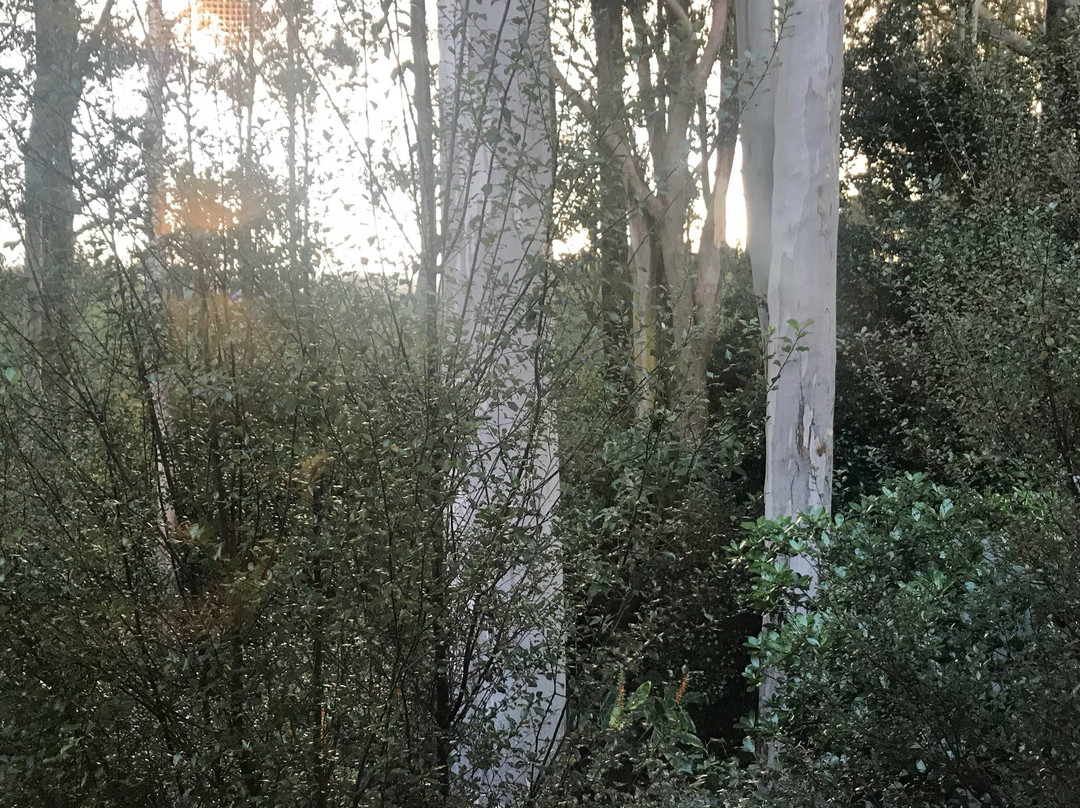 特里汗平房主图