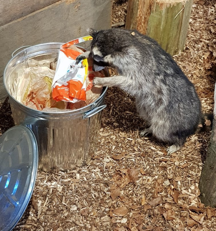 Museum Auberlehaus-Trossingen必去景点