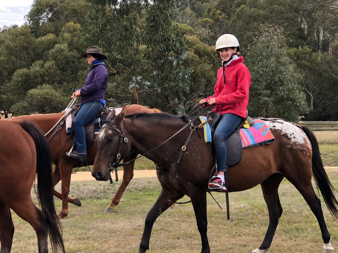 Horse Riding at Pender Lea景点图片