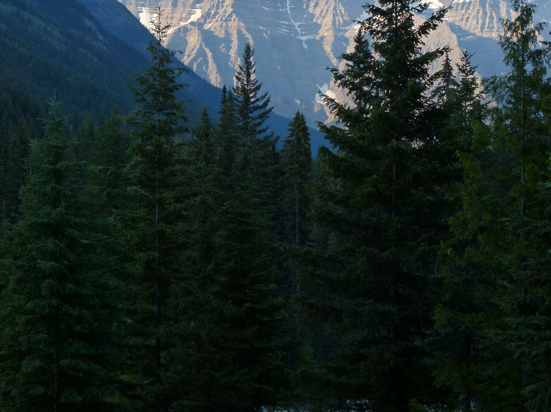 山区河流旅舍主图