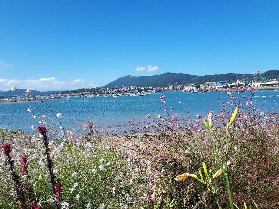Baie de Txingudi景点图片
