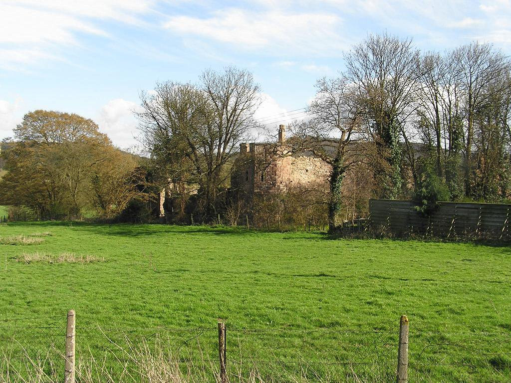 Wilton Castle景点图片