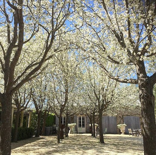 Krinklewood Vineyard-Broke必去景点