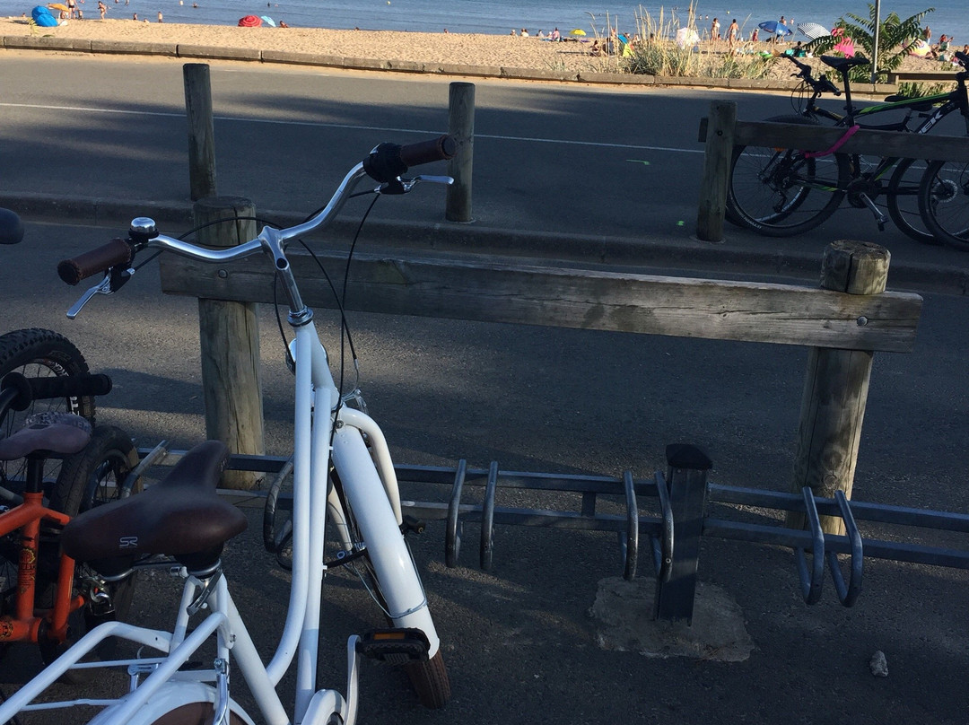 Vélo & Company景点图片