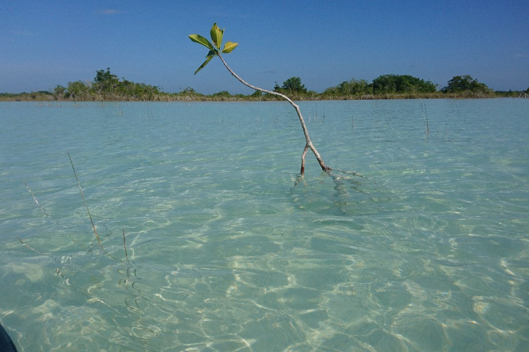 Paddle Bacalar-Buenavista必去景点