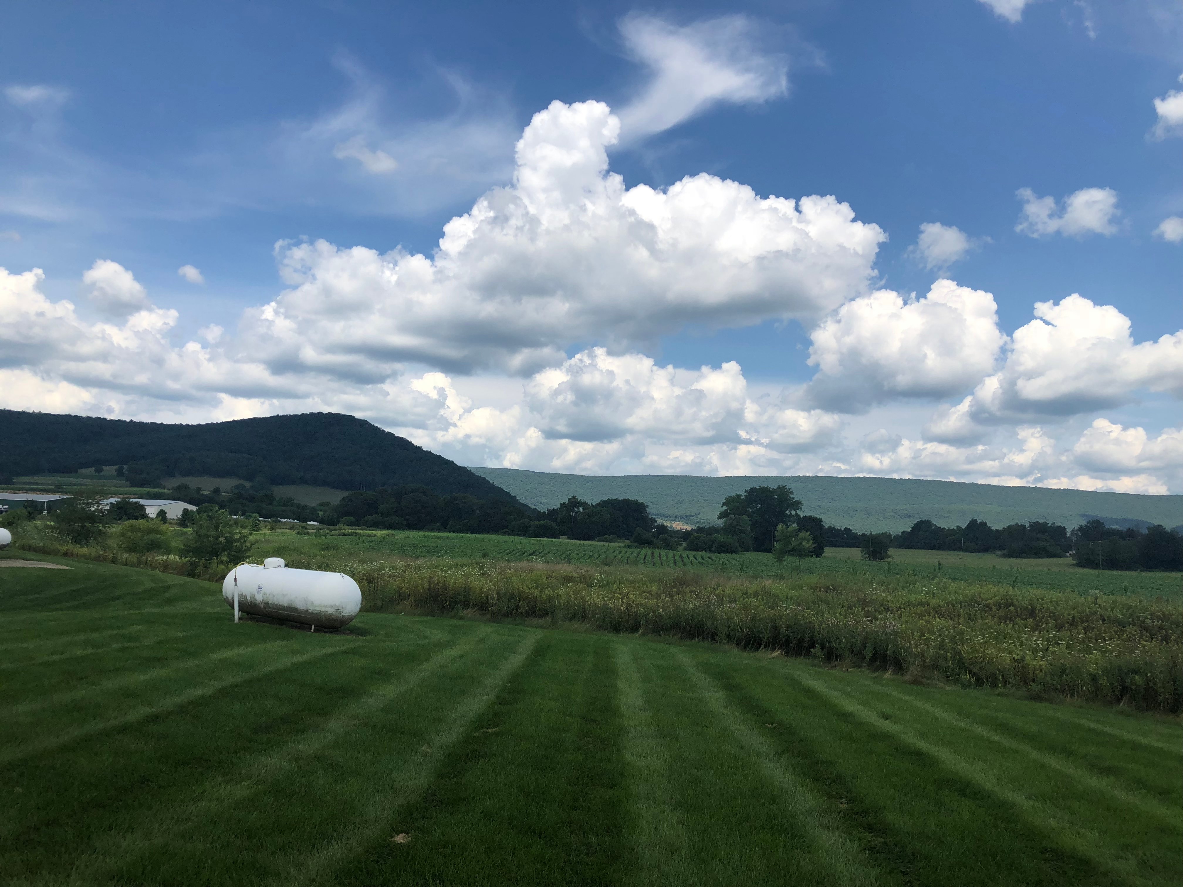 Best Western Nittany Inn Milroy-泳池