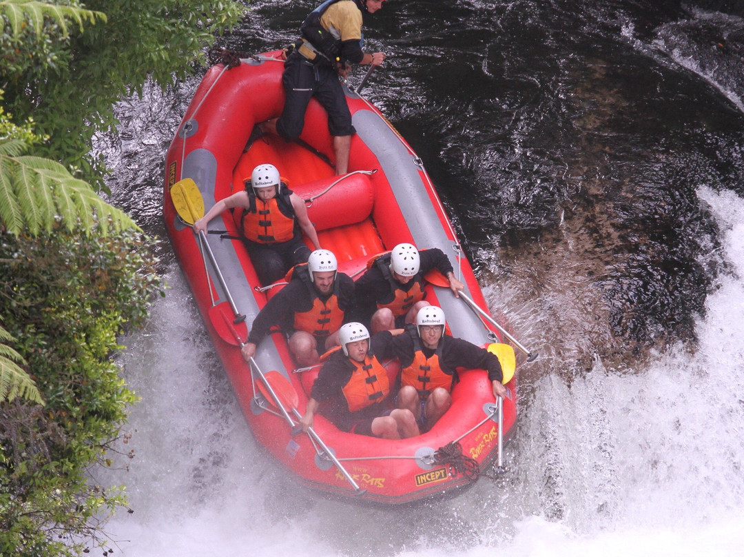 River Rats Raft & Kayak景点图片