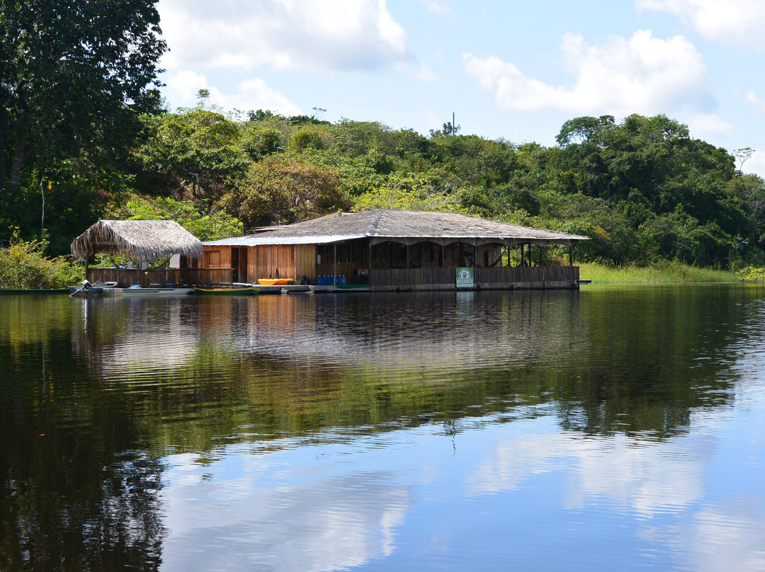 Amazon Prime Ecolodge-玛瑙斯必去景点