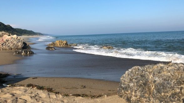 Pacific Long Beach景点图片