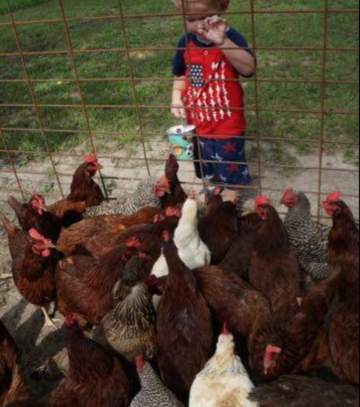 Hillcrest Farm-Elberta必去景点