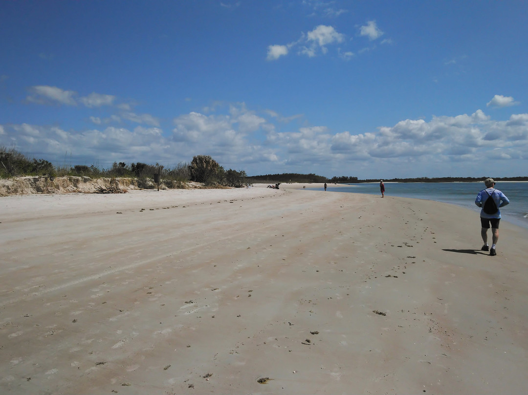 New Smyrna Beach Dog Park景点图片