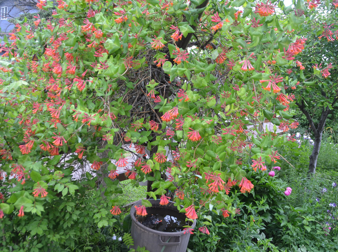 里多尔汽车旅馆主图