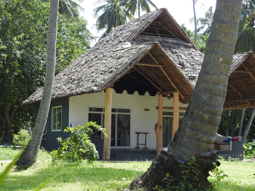 Mafia Kivulini Lodge