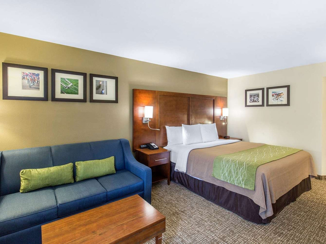 COMFORT INN - NORTH TXE81主图