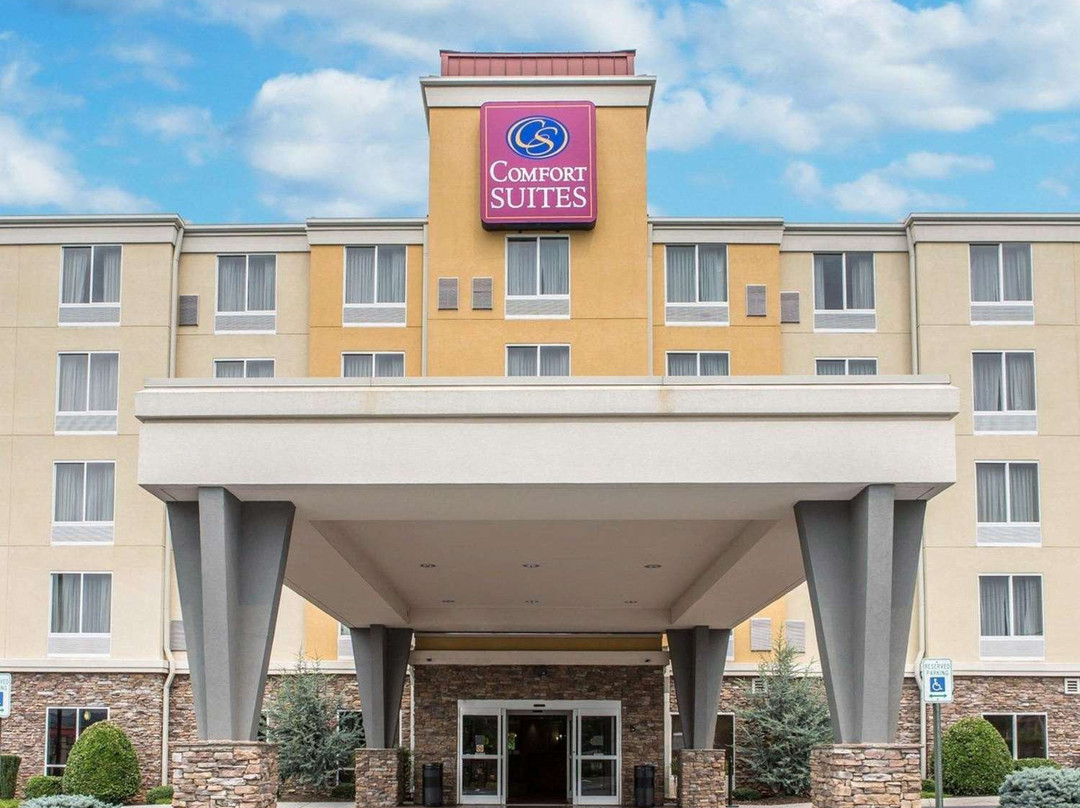 Comfort Suites North主图