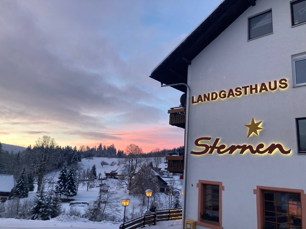 Boutique Hotel and Apartments Pension Sternen-官方