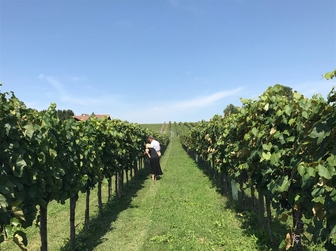 Heiligenkreuz im Lafnitztal旅游攻略图片