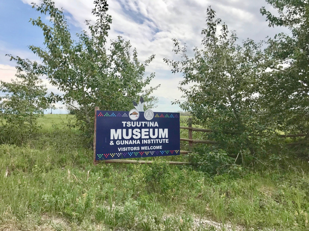 Tsuu T'ina Culture Museum景点图片