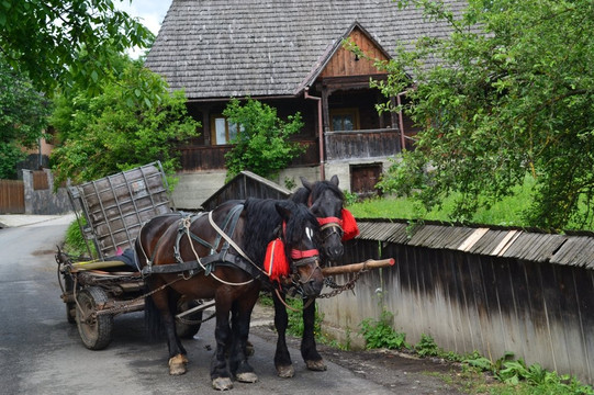 Transylvania Discovery Tours-布拉索夫必去景点