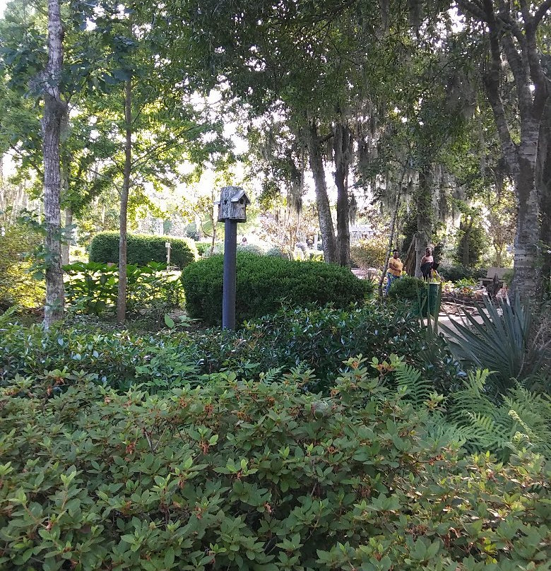 Beaumont Botanical Gardens-博蒙特必去景点