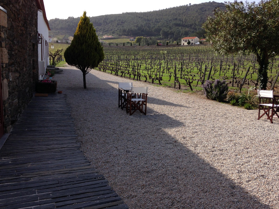 Morgadio da Calcada主图