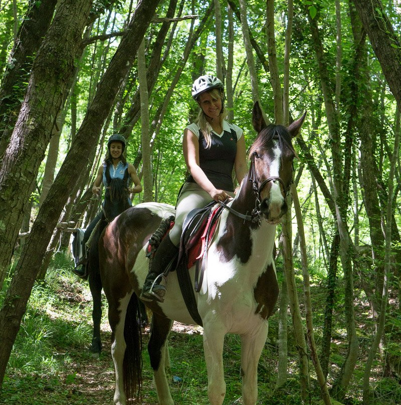 Borgo Pignano Horseback Riding景点图片