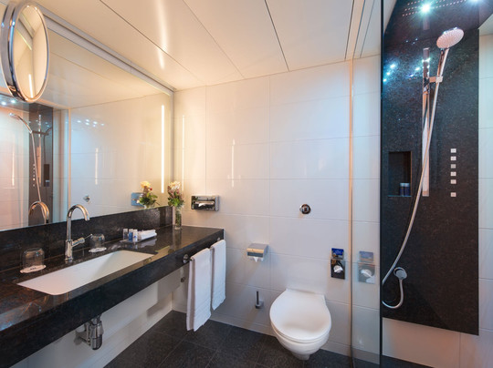 斯图加特玛丽蒂姆酒店主图