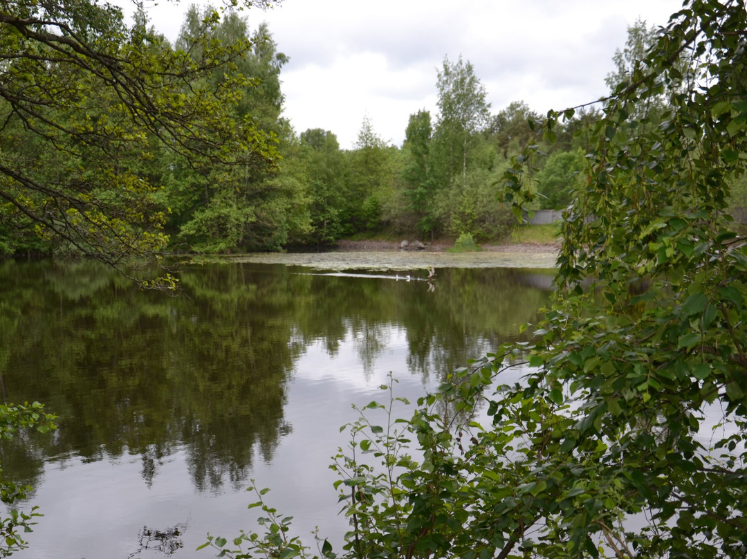 Illharjens Naturreservat景点图片