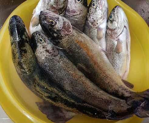 Laghi Trigoria-罗马必去景点