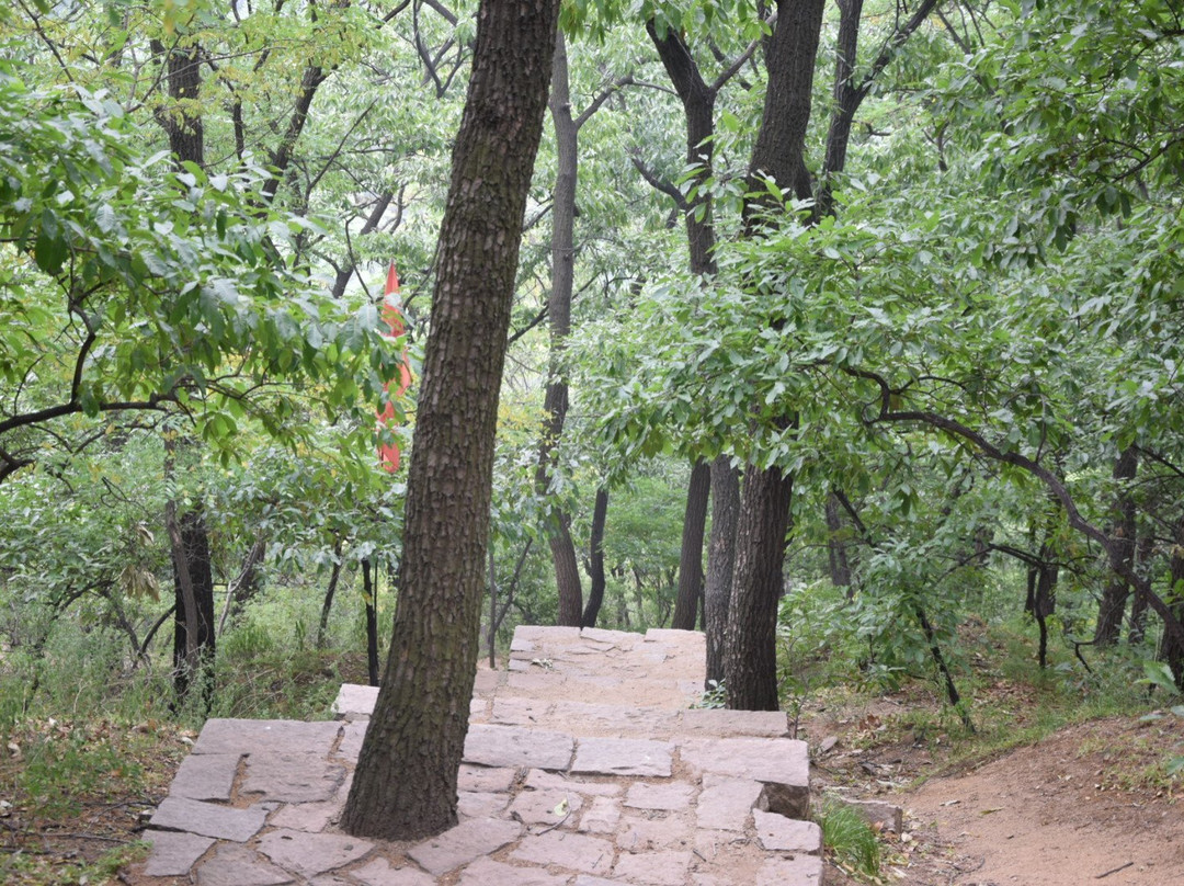 淄博鲁山国家森林公园-淄博市必去景点