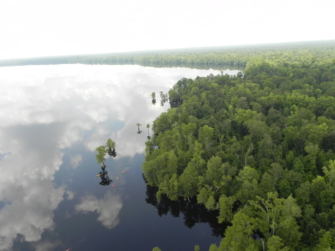 Great Dismal Swamp National Wildlife Refuge景点图片
