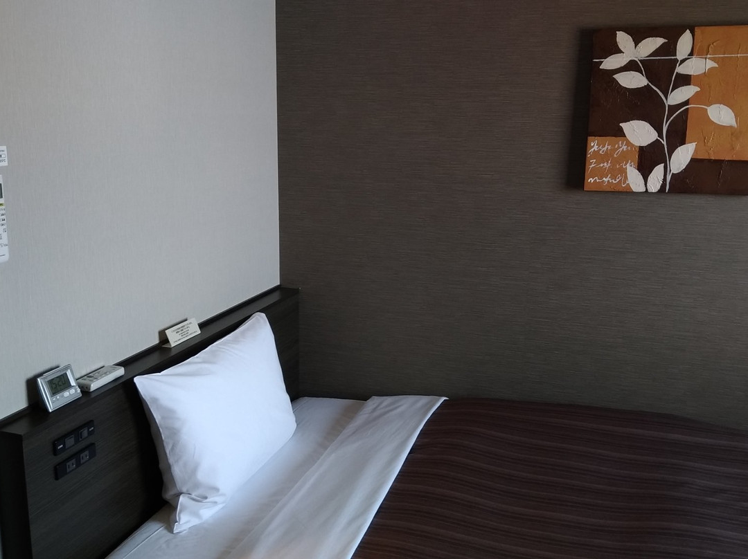 Hotel Route Inn Takaoka Ekimae主图