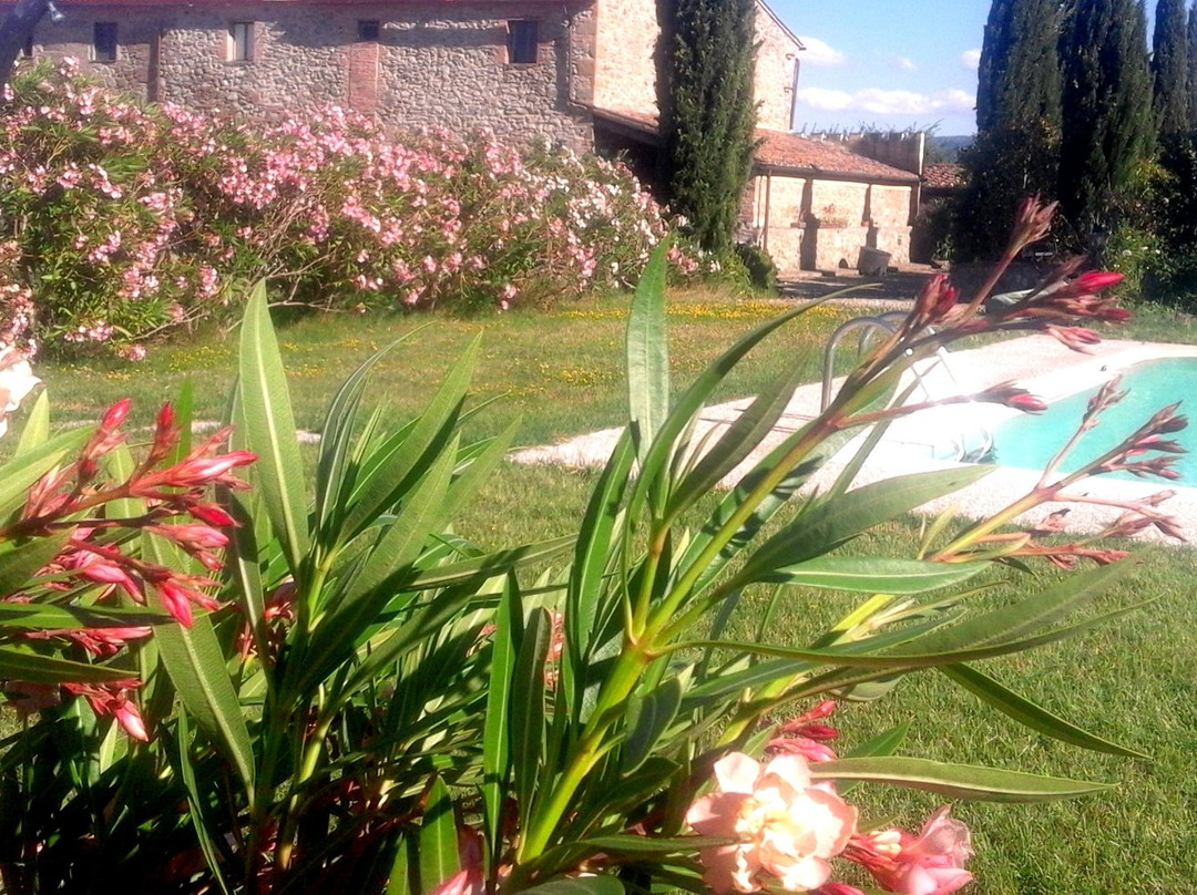 Agriturismo Il Poderino