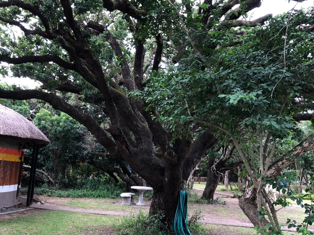 Gooderson DumaZulu Lodge & Traditional Village主图