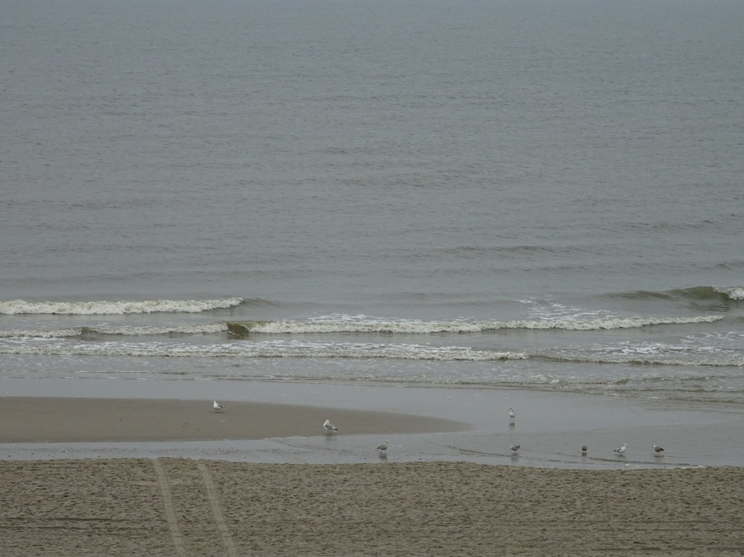 Callantsoog Beach景点图片