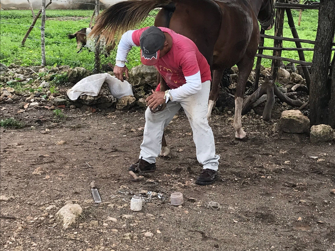 Cuba Horseback Rides-Guardalavaca必去景点