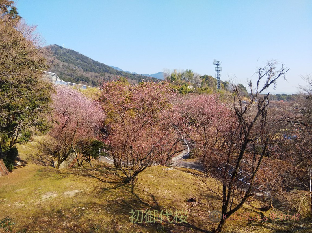 Ojigaoka Park-大津市必去景点