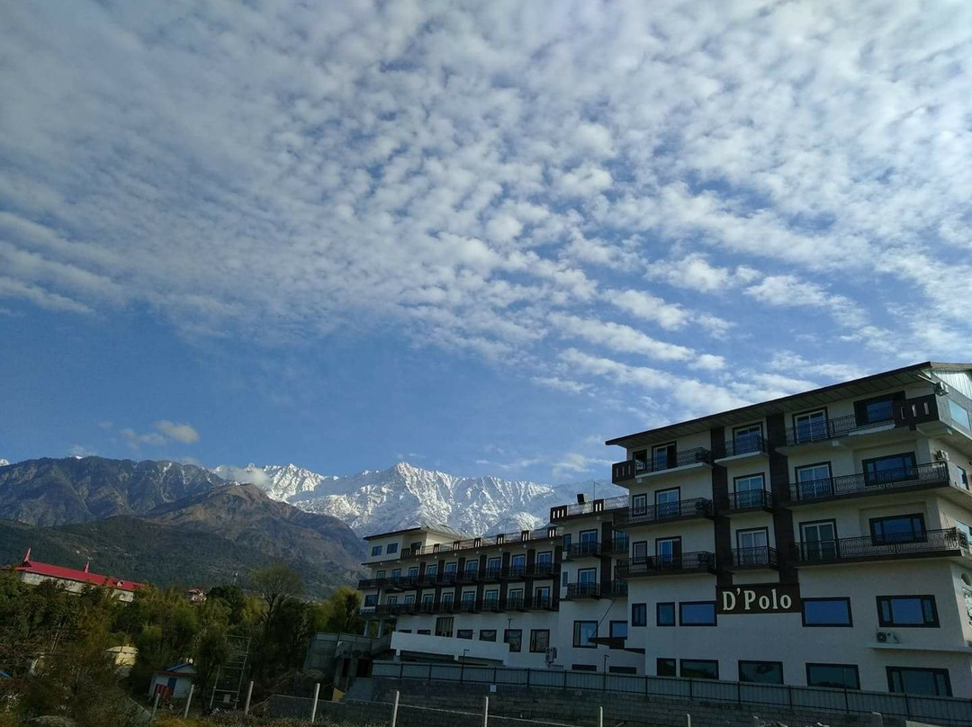 D'Polo Club & Spa Resort主图