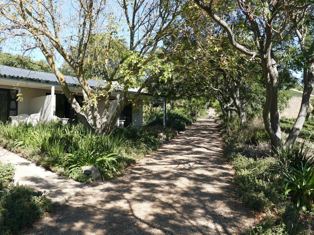 Jordan Luxury Suites主图