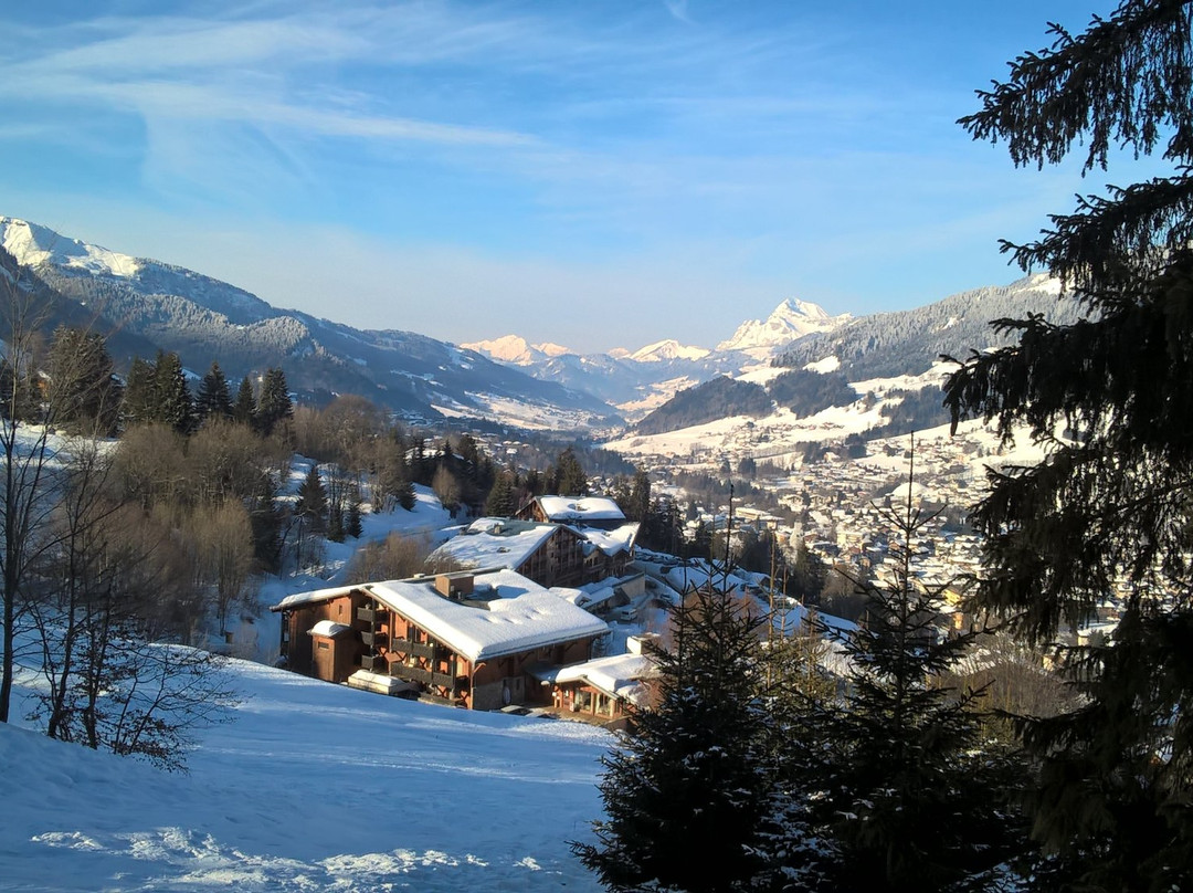 Évasion Mont Blanc景点图片