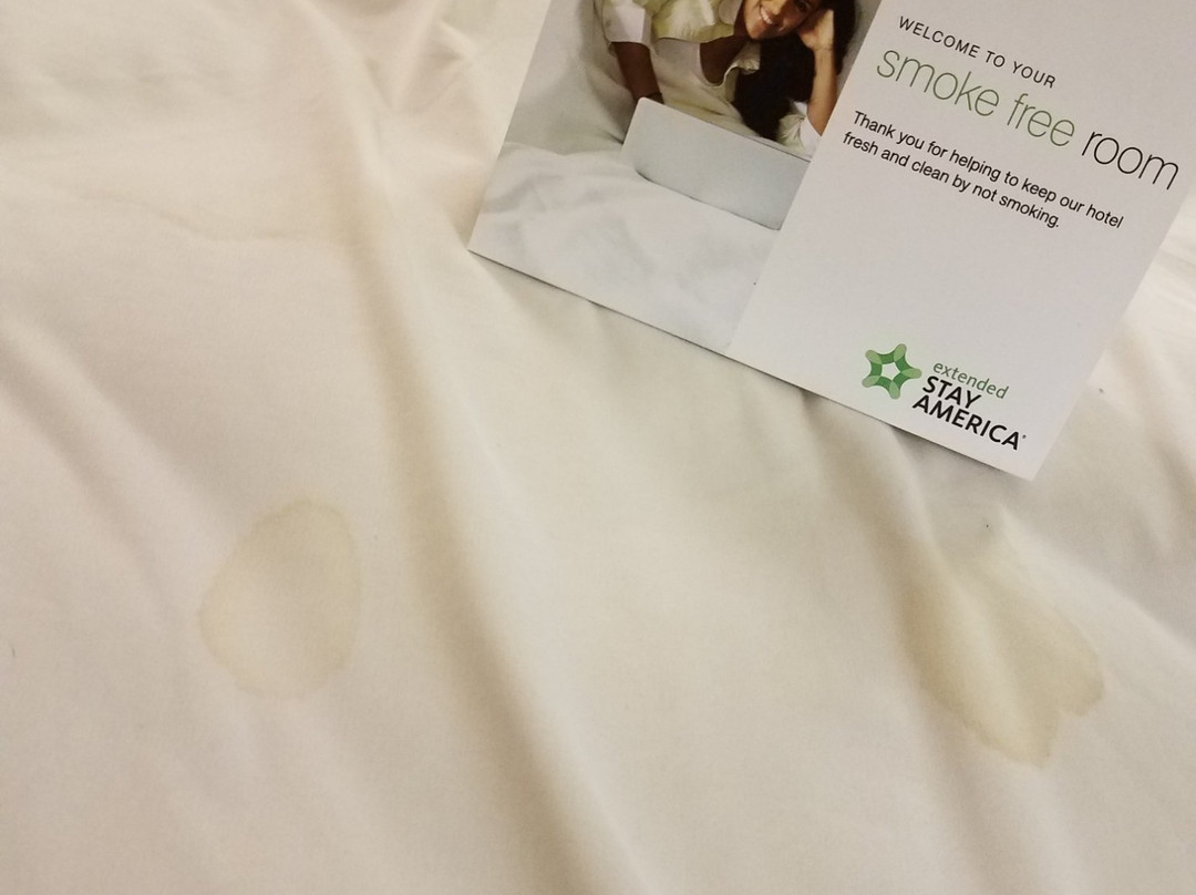 Extended Stay America - Milwaukee - Wauwatosa主图