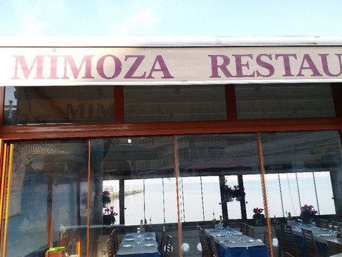 Mimoza Restaurant