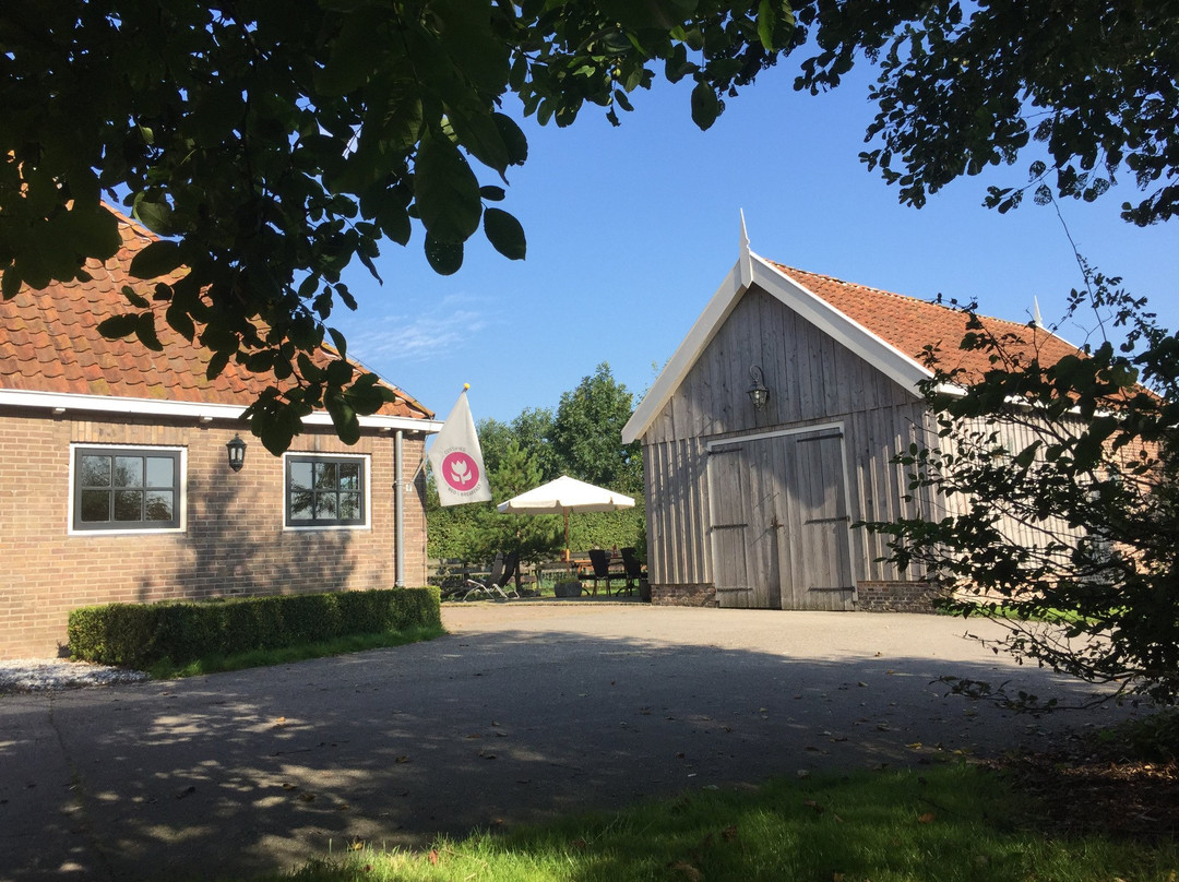 Bed and Breakfast Zathe de Spieker主图