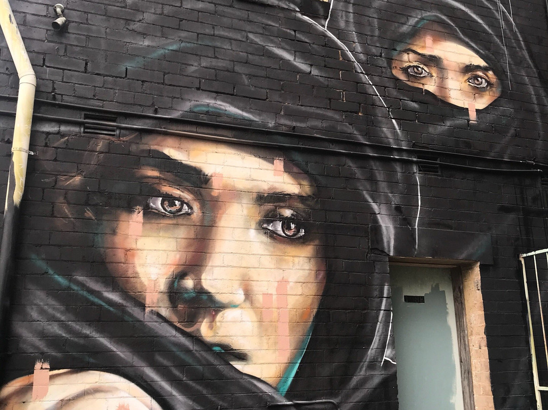 Street Art Walk - by Street Art Murals Australia景点图片