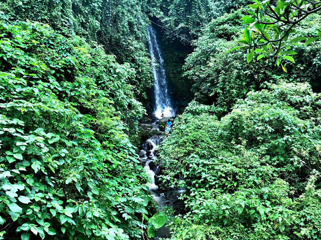 Ubud Tour Driver景点图片