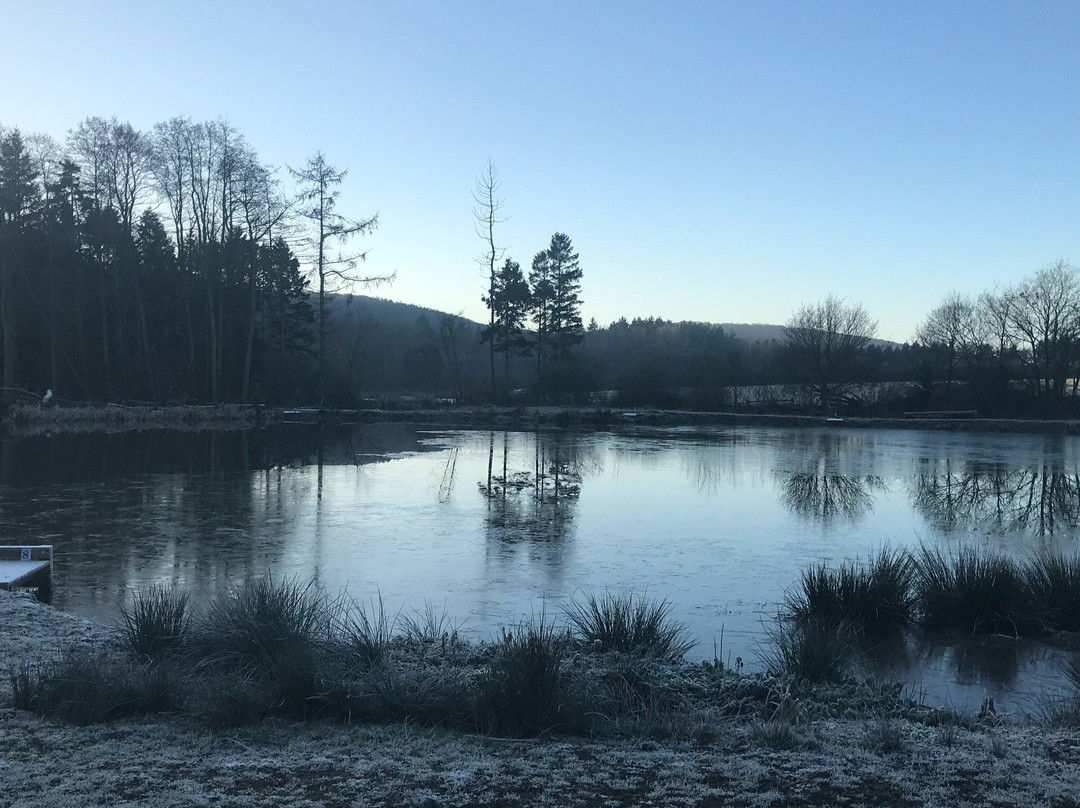 Oaklands Leisure and Fishery