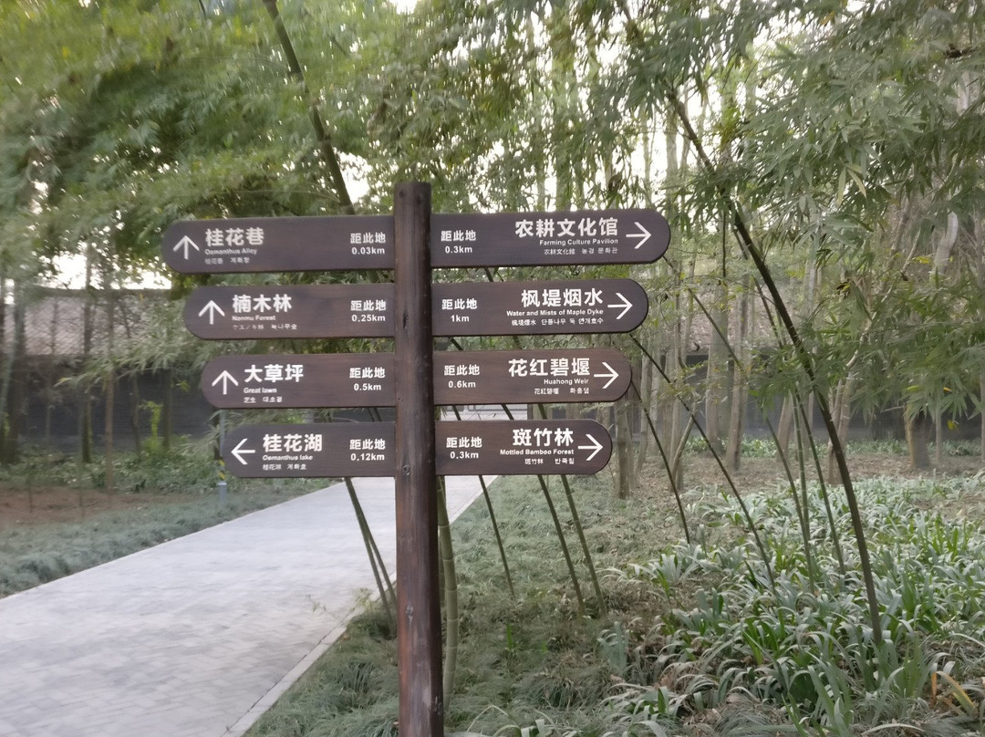 仙鹤森林公园景点图片