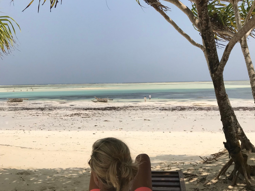 Surfescape-Pwani Mchangani必去景点